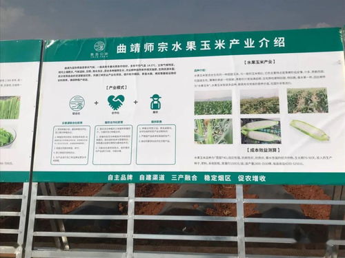 推廣有機(jī)肥改良土壤結(jié)構(gòu)，云南國(guó)發(fā)助力師宗煙草綠色高質(zhì)量發(fā)展