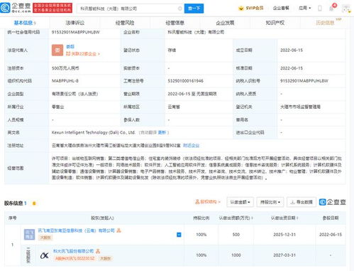 科大訊飛落子大理，智能科技公司聚焦信息系統集成服務